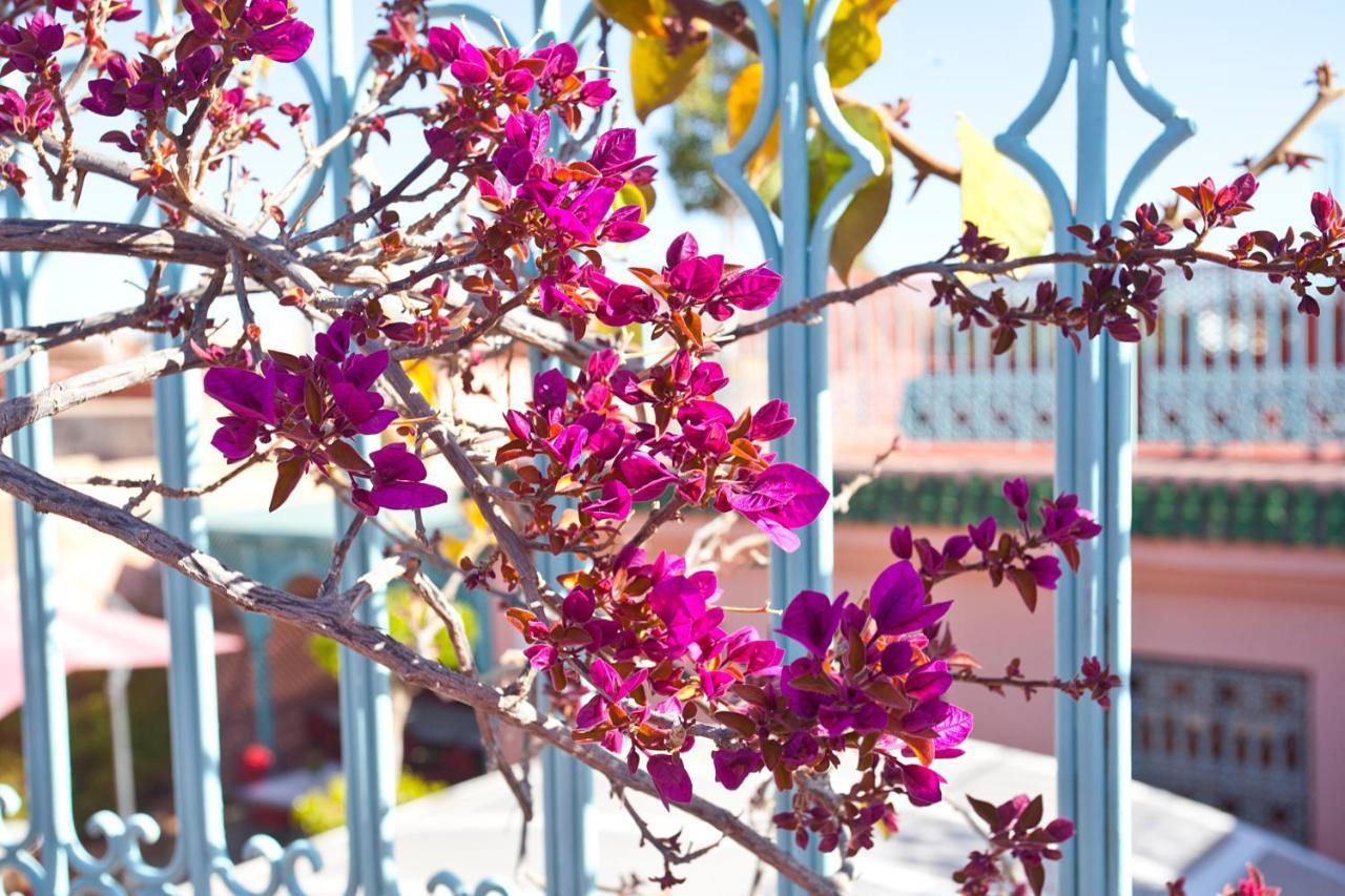 Riad Atlas Acacia مراكش المظهر الخارجي الصورة